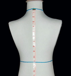 measure from neckline to waist line