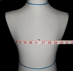 measure circumference at chest